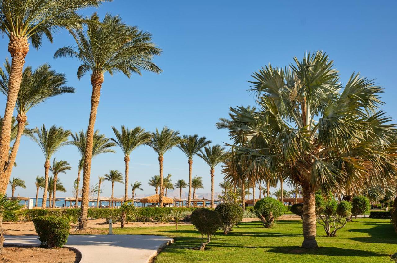 Coral Sea Waterworld Sharm El Sheikh Ξενοδοχείο Εξωτερικό φωτογραφία